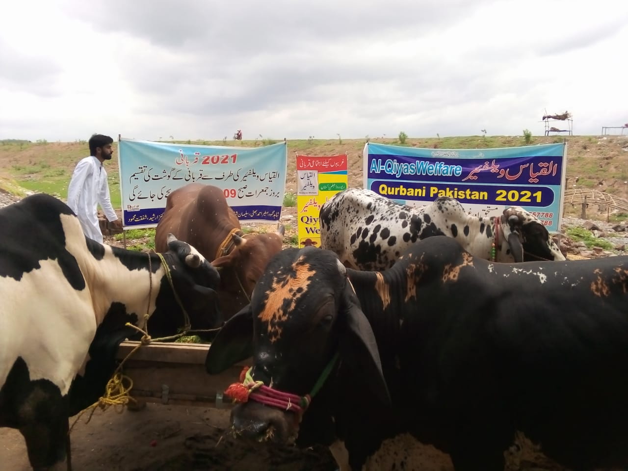 Al-Qiyas Welfare Qurbani 2021